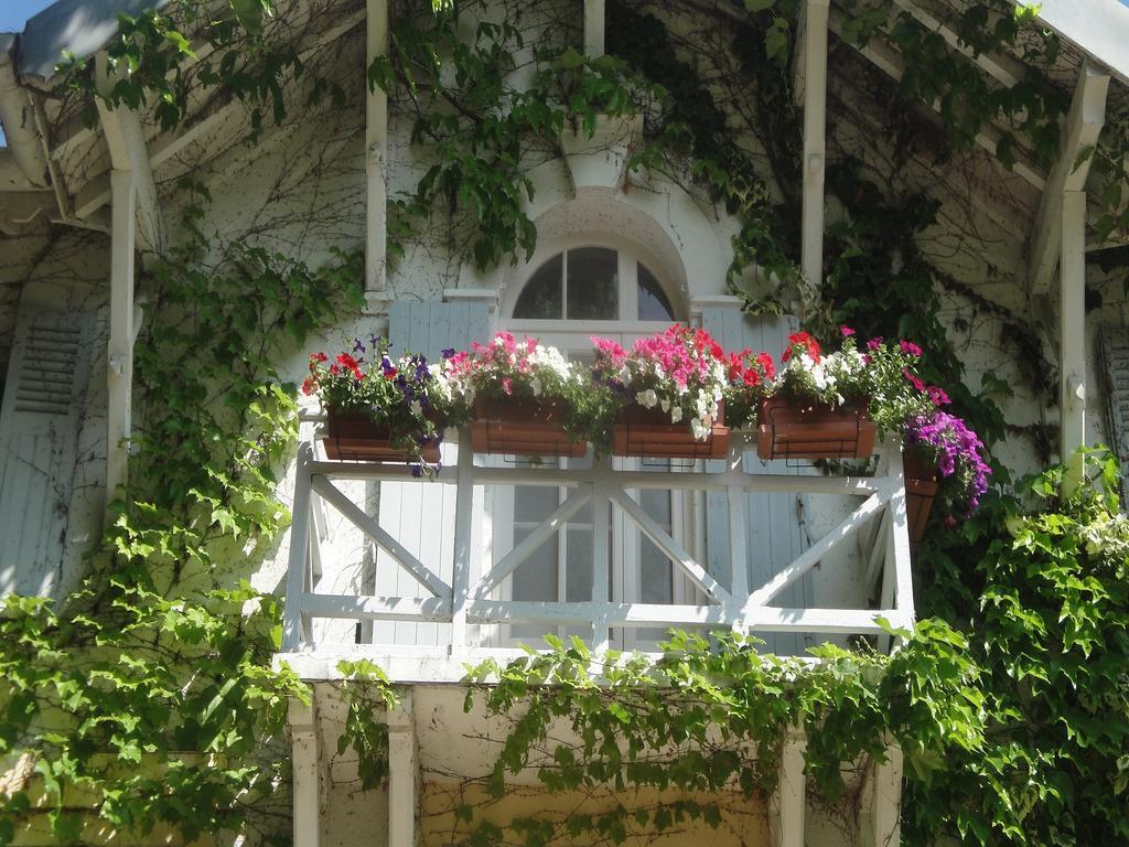 Hôtel le Chalet Fleuri Saint-Rémy-de-Provence Extérieur photo